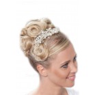 Diamante Flowers Hair Accessory with a Hint of Pearls