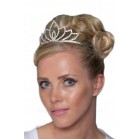 Gorgeous Silver Pleated Tiara With Crystals